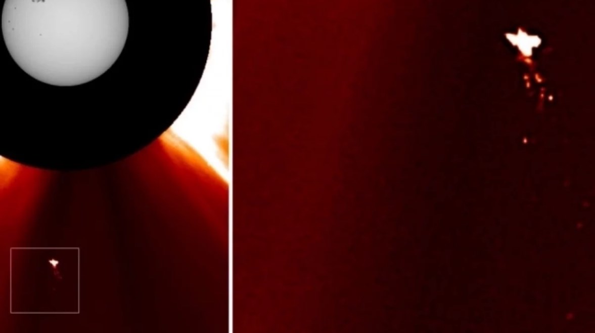 مذنب الطائر العملاق