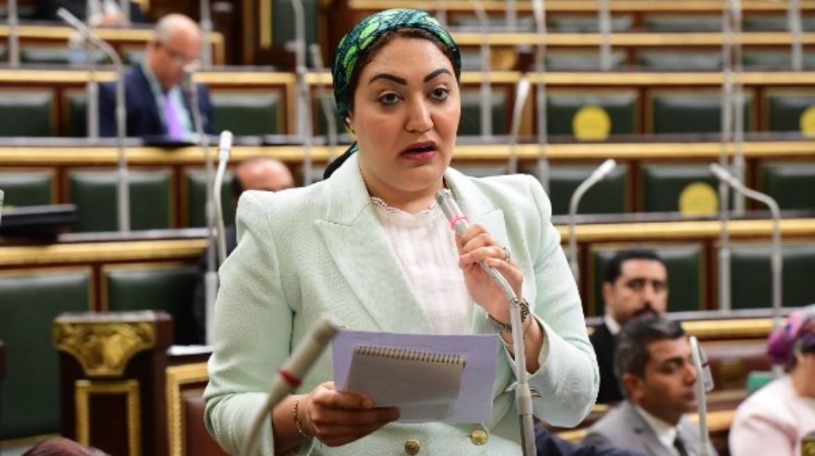 عضو مجلس النواب، النائبة أسماء سعد الجمال