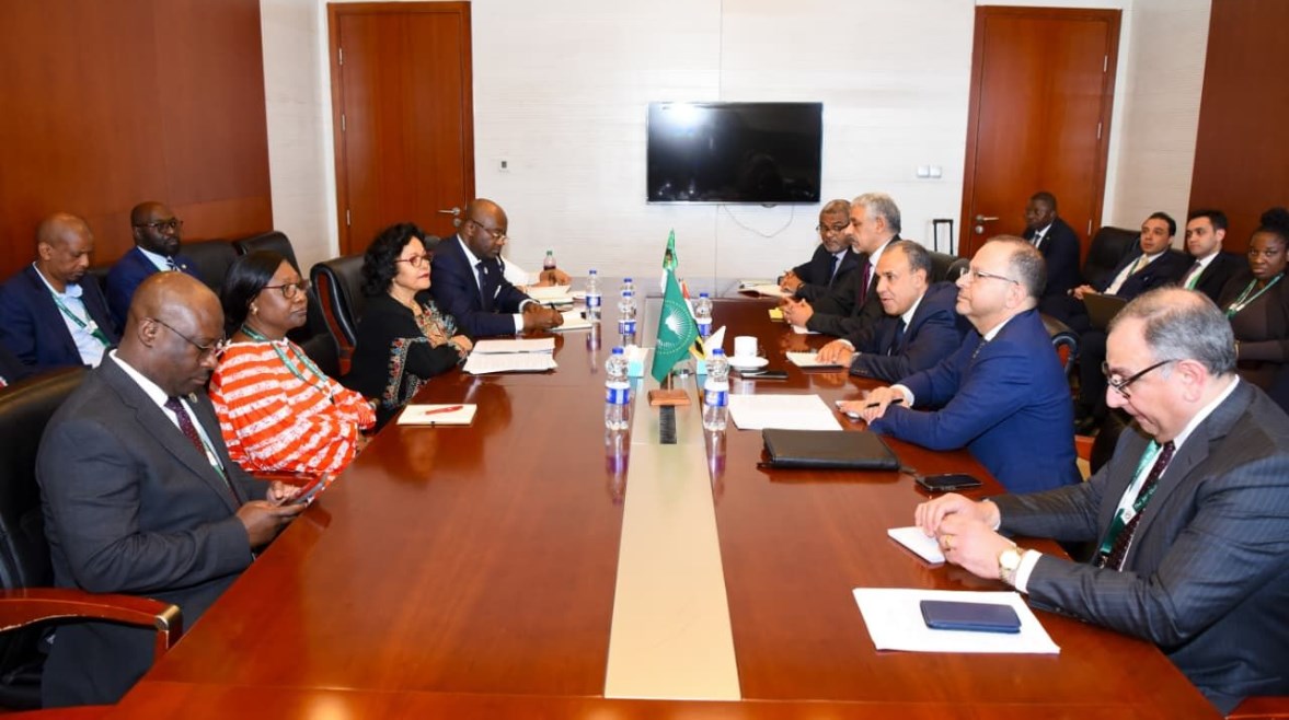وزير الخارجية يلتقي رؤساء بنك التصدير والاستيراد الأفريقي وبنك التنمية الأفريقي والمديرة التنفيذية للنيباد