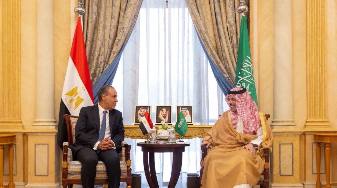 وزير الخارجية والهجرة بدر عبد العاطي ونظيره السعودي، فيصل بن فرحان - صورة أرشيفية