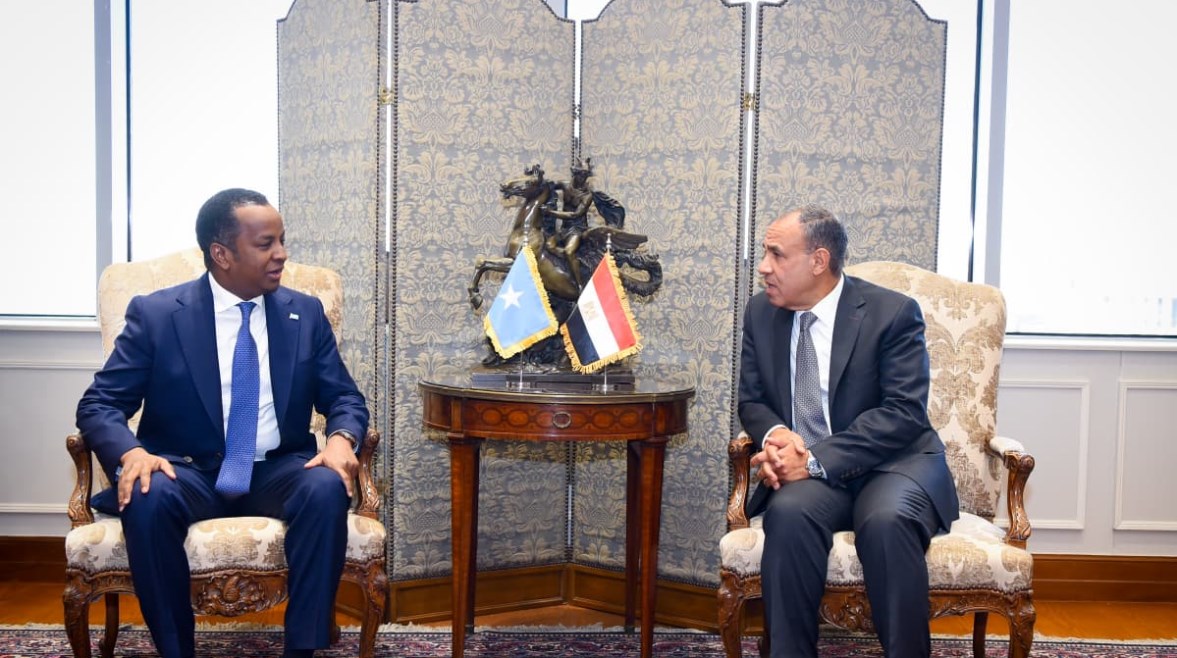 وزير الخارجية والهجرة، بدر عبدالعاطي ونظيره الصومالي، عبد السلام عبدي علي
