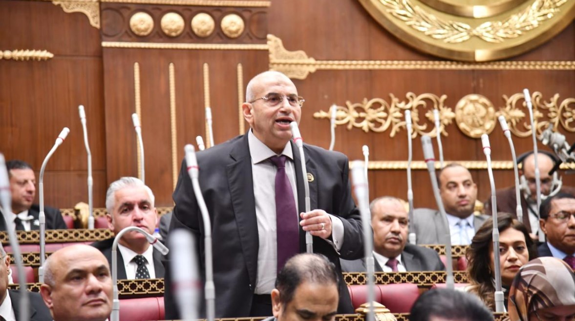 عضو مجلس الشيوخ، أشرف عبد الغني