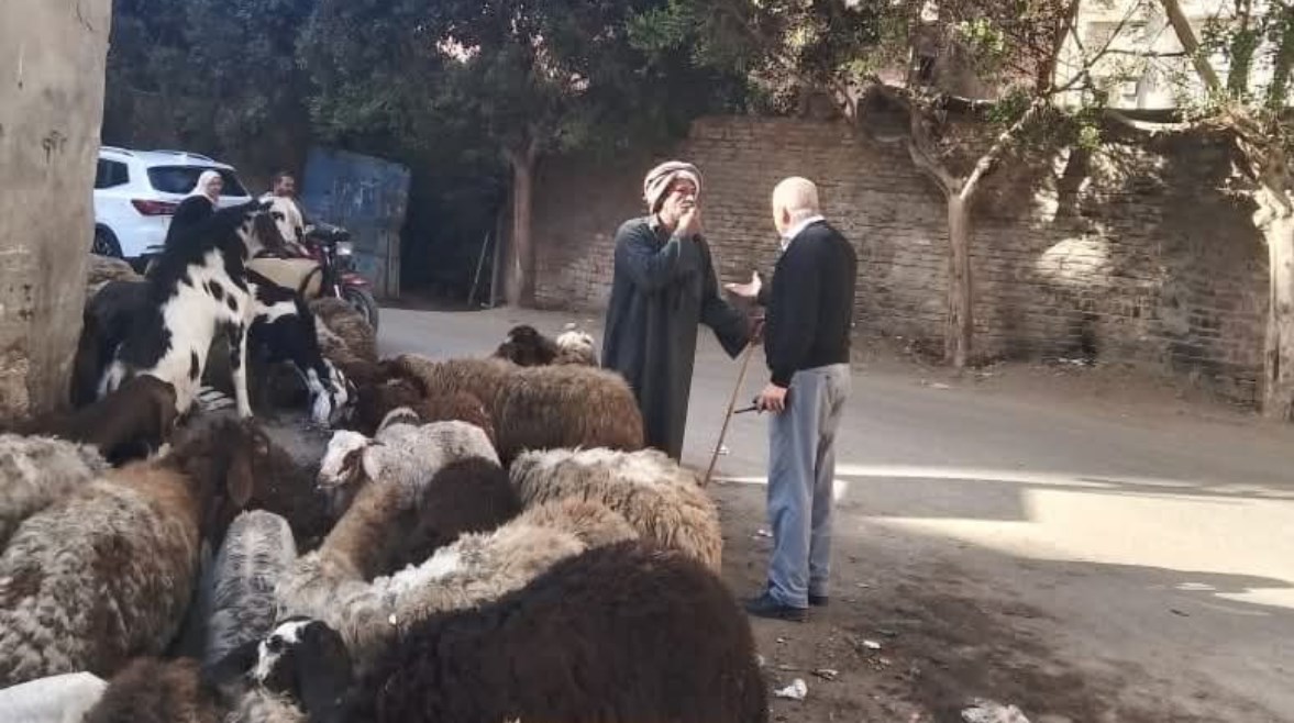 رئيس مدينة طوخ أثناء تعنيفه راعي الغنم