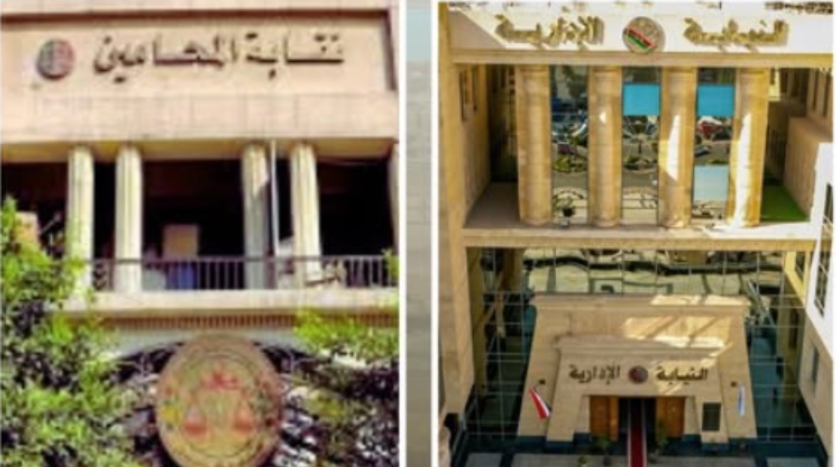 النيابة الإدارية ونقابة المحامين 
