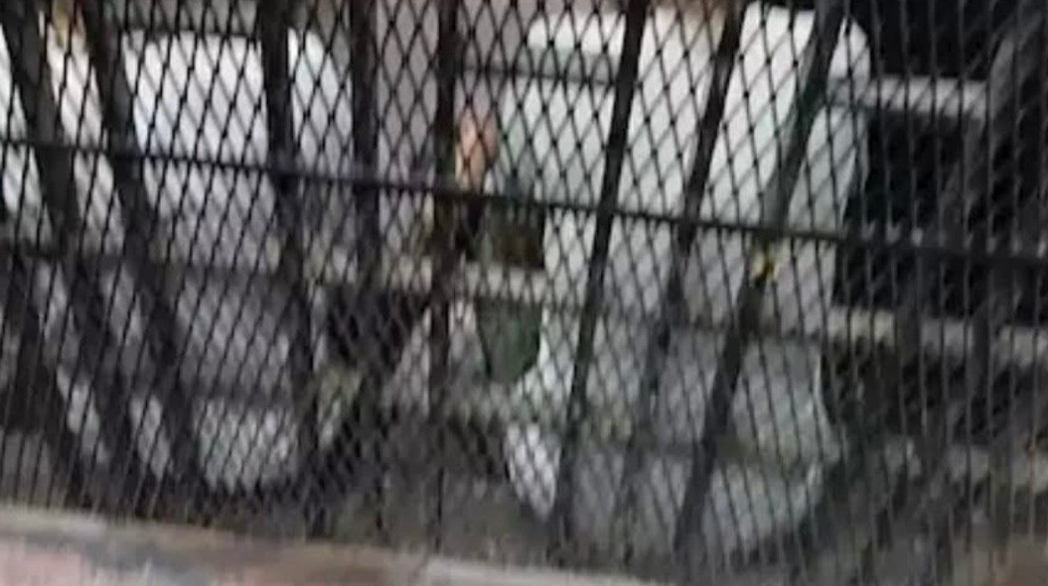 متهمان في قفص المحاكمة، أرشيفية