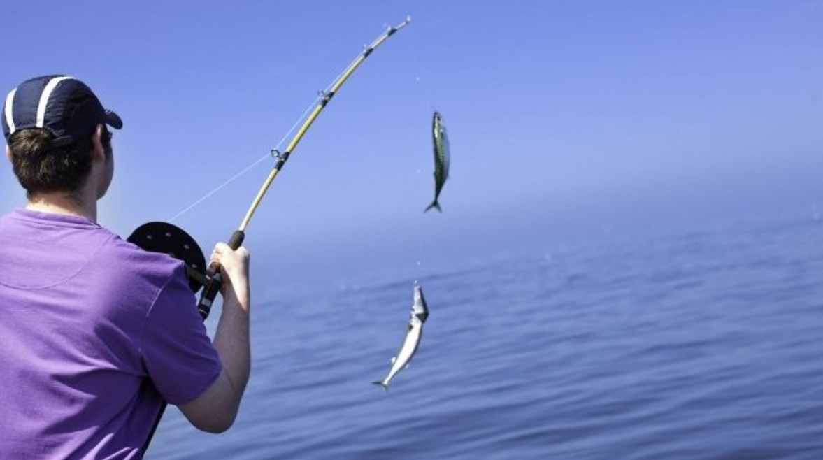 هواية الصيد