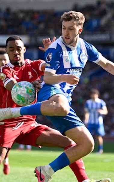 ليفربول وبرايتون