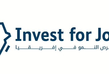 الاستثمار من أجل التوظيف