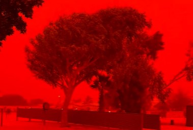 الإعصار ناريلي 