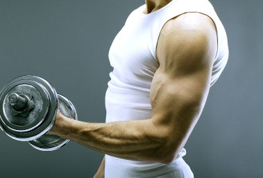 قوة العضلات