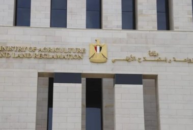 وزارة الزراعة