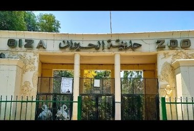 حديقة الحيوان بالجيزة