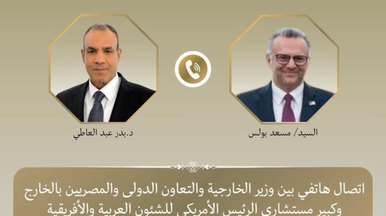 الدكتور بدر عبدالعاطي وزير الخارجية