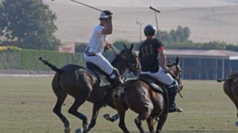 بطولة الجمهورية لرياضة البولو