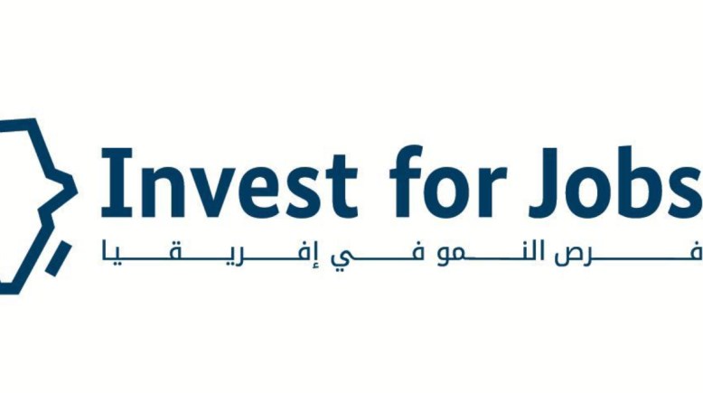 الاستثمار من أجل التوظيف