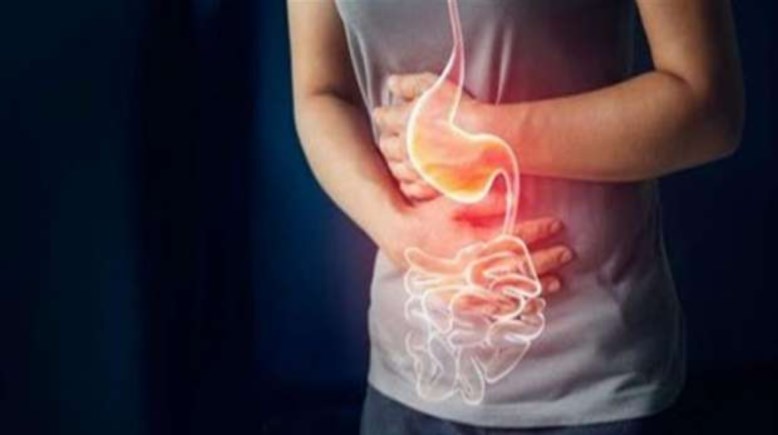 الجهاز الهضمي