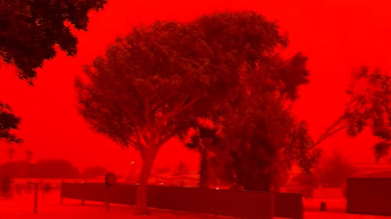 الإعصار ناريلي 