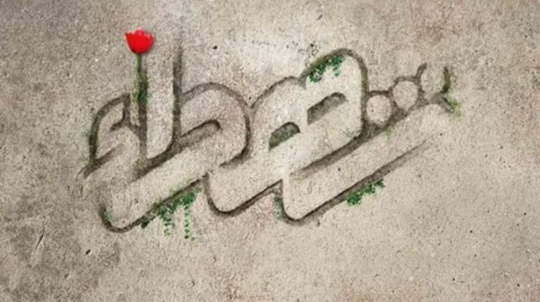 حكم عن الشهداء