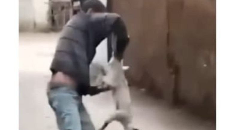 جانب من الواقعة 