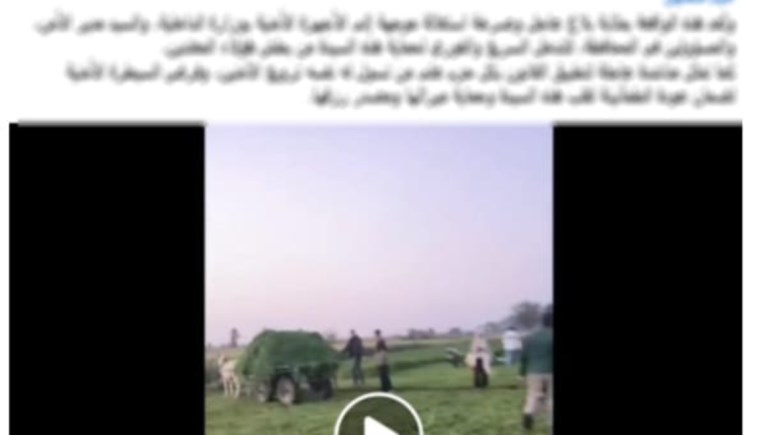 جانب من الواقعة 