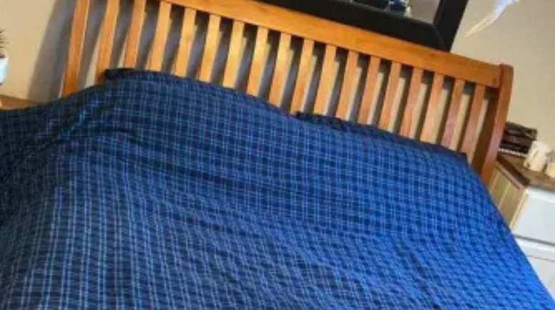 الملاية الزرقاء