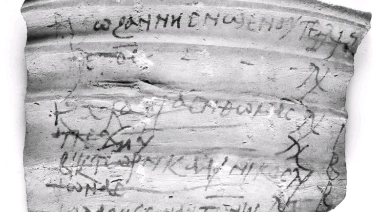 الكشف عن 13 ألف أوستراكا