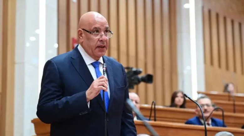 رئيس مجلس النواب المستشار هشام بدوي