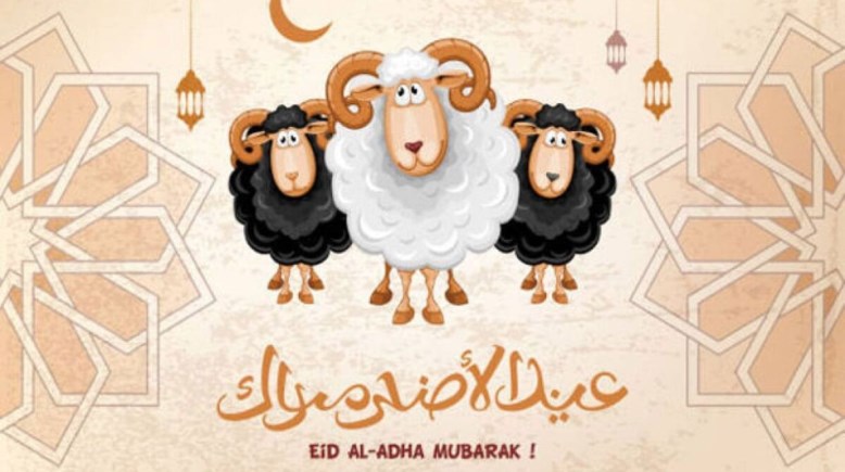 موعد عيد الأضحى المبارك 2026 في مصر