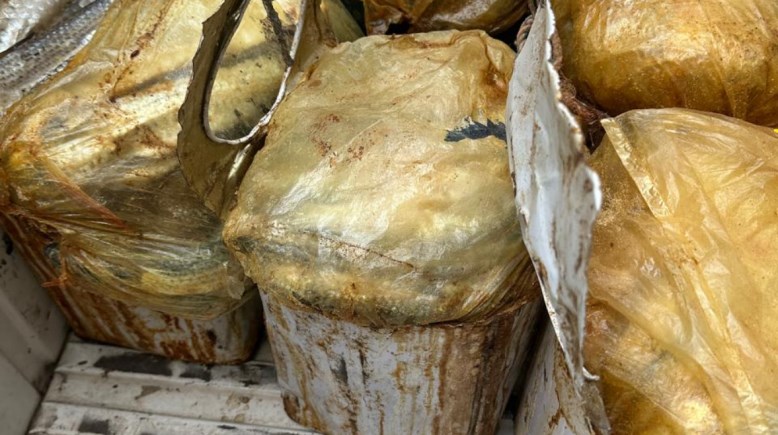 صورة المضبوطات