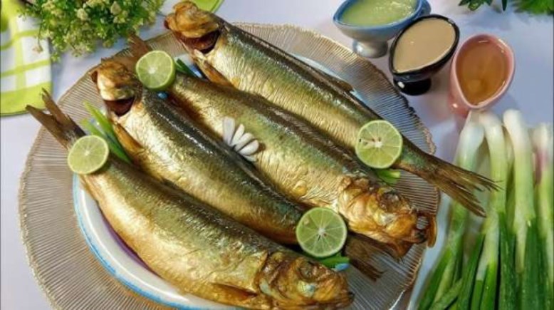 سمكة الرنجة