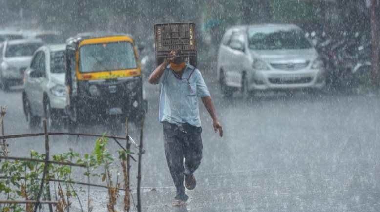 هل يوجد أمطار اليوم السبت 14 مارس 2026 في مصر؟