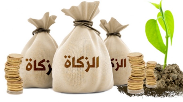 هل تجب زكاة الفطر على الجنين؟