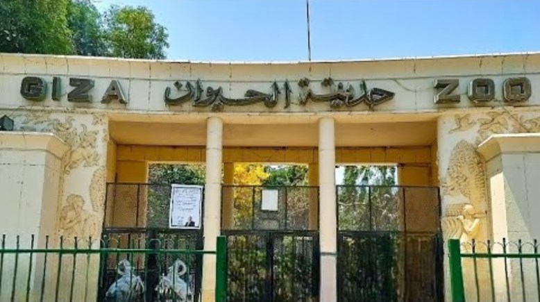 موعد افتتاح حديقة الحيوان في مصر 2026