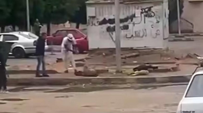 رجل يخاطر بحياته لإنقاذ الحيوانات وسط مياه الأمطار