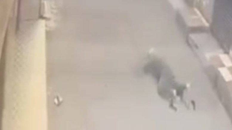 صورة من الواقعة