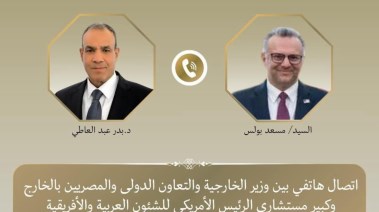 الدكتور بدر عبدالعاطي وزير الخارجية