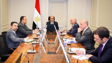 وزير الخارجية الدكتور بدر عبد العاطي