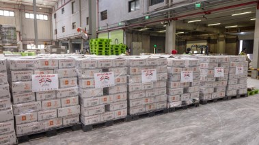 مساعدات إنسانية إلى لبنان