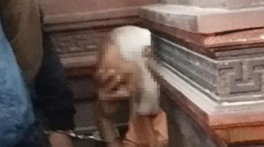 المتهم بعد القبض عليه