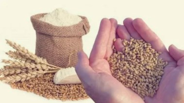 موعد إخراج زكاة الفطر 2026