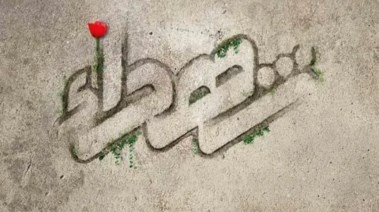 حكم عن الشهداء