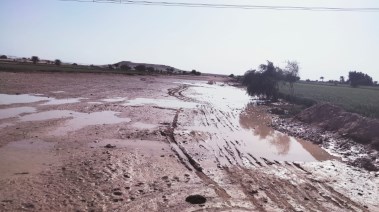 تضرر مساحات من الأراضي الزراعية بقنا نتيجة تسرب مياه الصرف الصحي