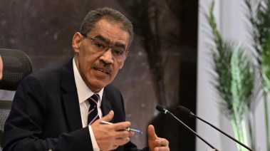 وزير الدولة للإعلام، ضياء رشوان