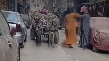 جانب من الواقعة