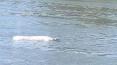 صورة - تعبيرية 