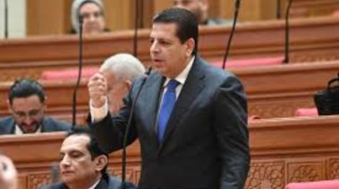 النائب محمود سامي