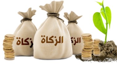 هل تجب زكاة الفطر على الجنين؟