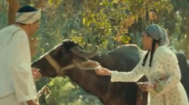 عائشة وعبد العزيز في مسلسل النص التاني 