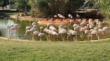  هل حديقة الحيوان مفتوحة الآن 2026