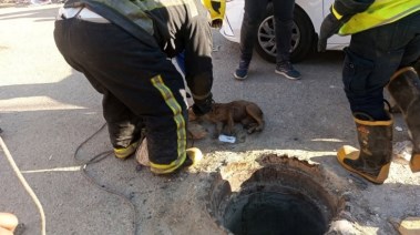 جانب من الإنقاذ